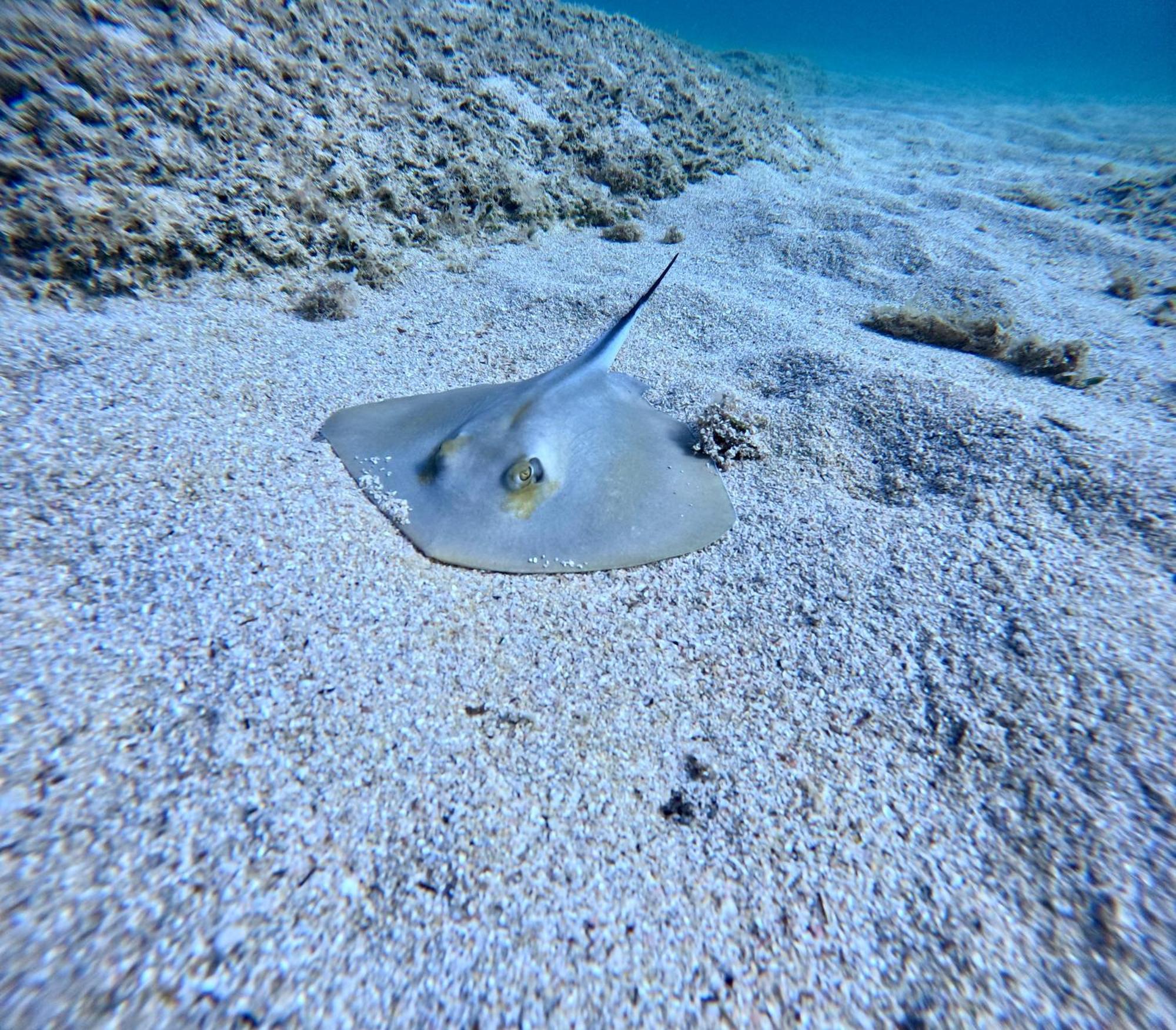 Mena Me - Casa Vacanza - Salento Парабита Экстерьер фото